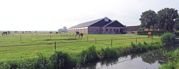 Paardenpension De Groot, Lutterstraat Lithoijen, Noord-Brabant
